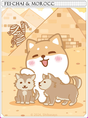 Fei-Chai & Morocc Card illustration