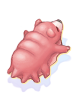 Tardigrade Hide