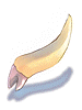 Zenorc's Fang