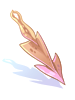 Dried Squid