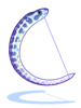 Brindle Eel