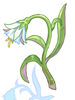 Flower of Phantom