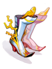 Variant Shoes