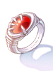 Guardian Ring