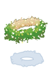 Flower Wreath