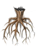 Decaying Stem