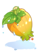 Fresh Fruit