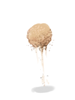 Sand Clump