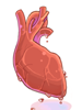 Heart of Mermaid