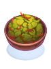 Shepherd Salad