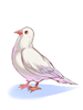 Bell Pigeon