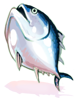 Amulet of Fresh Tuna