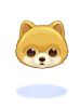 의상 치명적인 DOG