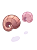 마제스틱 데빌혼