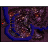 niflheim