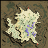 ra_fild01
